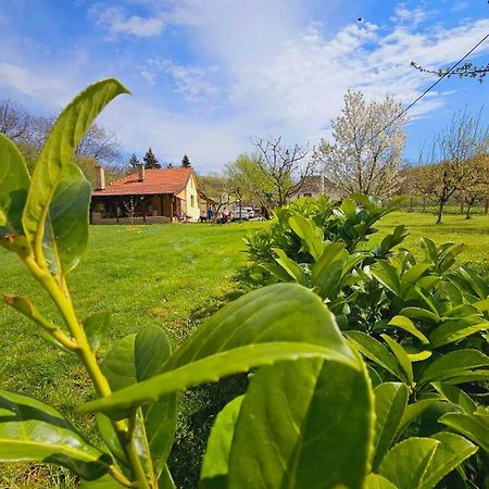 Fruska House Villa Besenovacki Prnjavor Екстериор снимка