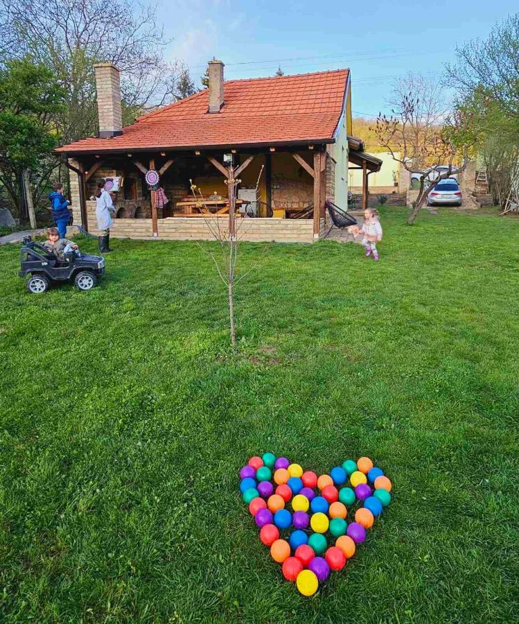 Fruska House Villa Besenovacki Prnjavor Екстериор снимка