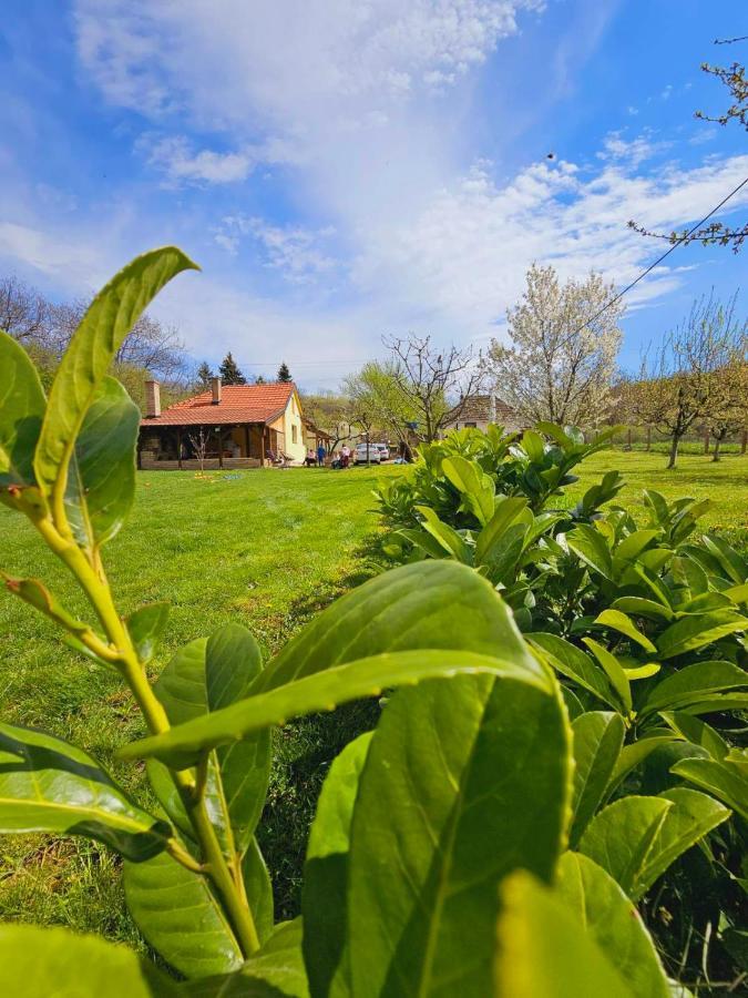 Fruska House Villa Besenovacki Prnjavor Екстериор снимка