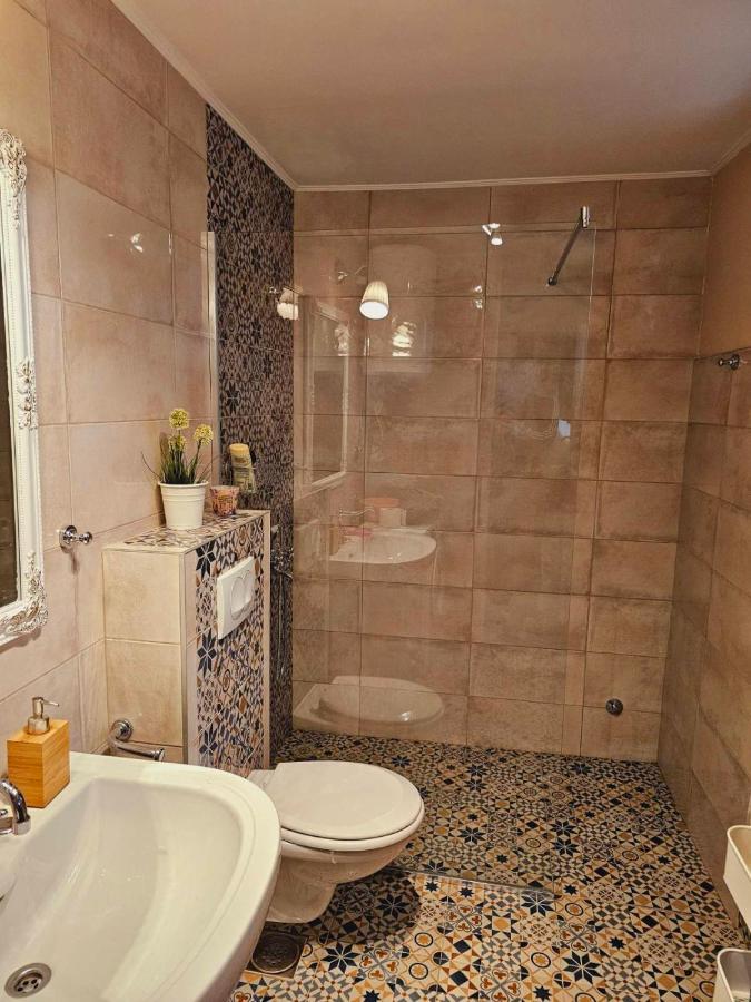 Fruska House Villa Besenovacki Prnjavor Екстериор снимка