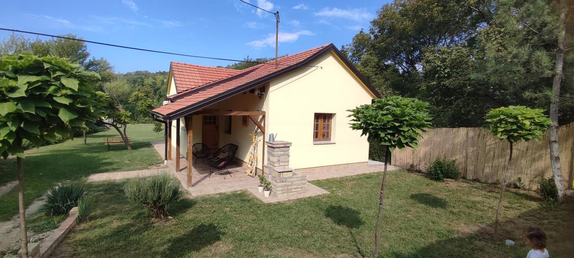 Fruska House Villa Besenovacki Prnjavor Екстериор снимка